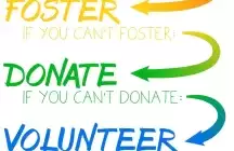 poster with adopt foster donate volunteer and educated as a statement