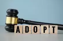A Judges hammer and the words ADOPT in blocks