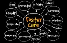 A diagram of the foster care system