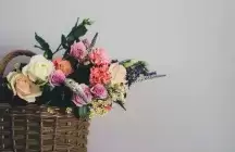 flowers in basket on plain background