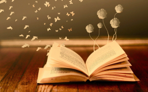 Life Book for Adopted Kids