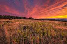 Big Meadows