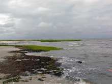 Plum Tree Island National Wildlife Refuge