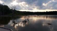 Huntley Meadows Park