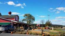 Virginia Farm Market
