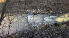 Blackwater Creek Trail