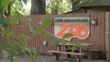 Mill Mountain Zoo
