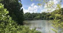 Banister Lake