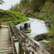 Steele Creek Park