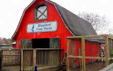 Bluebird Gap Farm