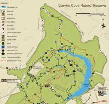 Carvins Cove Natural Reserve