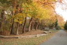 Staunton River State Park