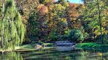 Edith J. Carrier Arboretum