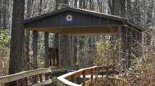 Great Dismal Swamp National Wildlife Refuge