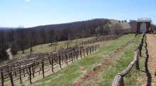 Mulberry Row