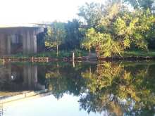 Roslyn Landing Park
