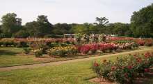 Norfolk Botanical Garden