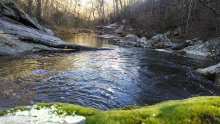 Panther Falls