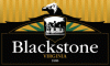 Blackstone, VA logo