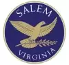 Salem logo 2024 Foster Care