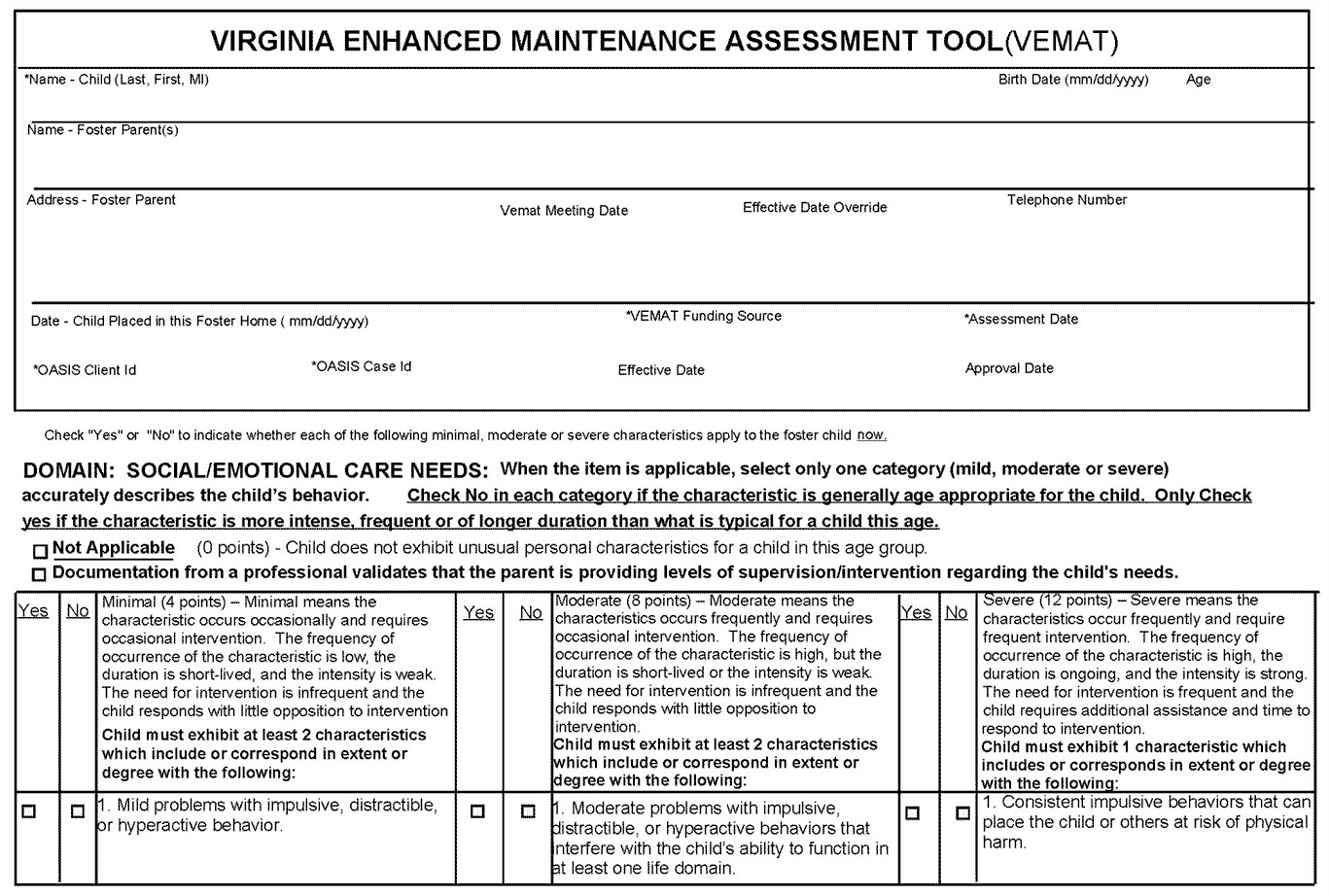 VEMAT Assessment Tool page 1